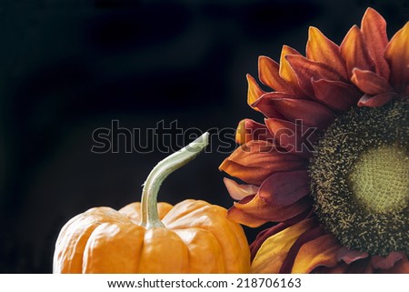Autumn themed still life with a black background and room for copy space