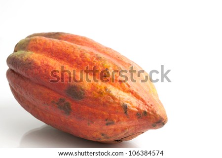 Red Cocoa