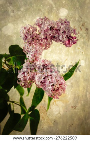 Lilacs pictured against a rustic, vintage looking background.