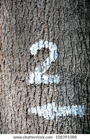 Photo of the number two and a left-pointing arrow painted onto a tree trunk