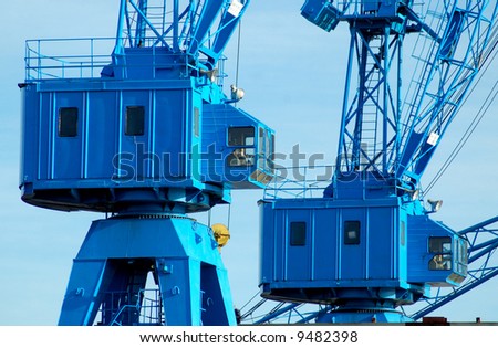Two blue cranes