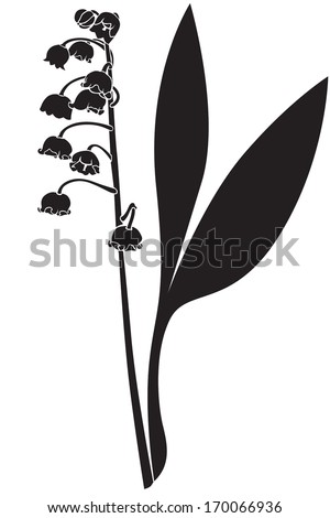 Silhouette image spring lily of the valley flower - stock vector