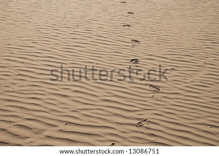 foot tracks on the sand
