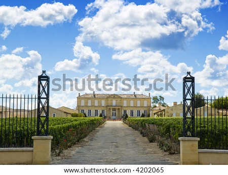 Vineyard and winery near bordeaux