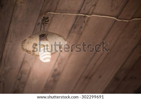 Twist economy light bulb with old grungy lamp on wooden ceiling background with copy space, brown vintage color tone