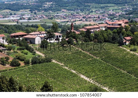 Wine region of Italy