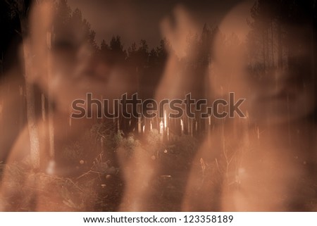 fantasy forest dark forest at night
