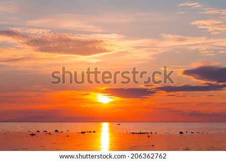 boat at sea with sunset - birds on the rocks
