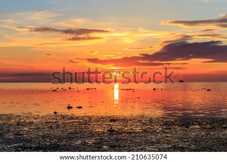 Cruise liner ship in sunset in sea in Tallinn, Estonia