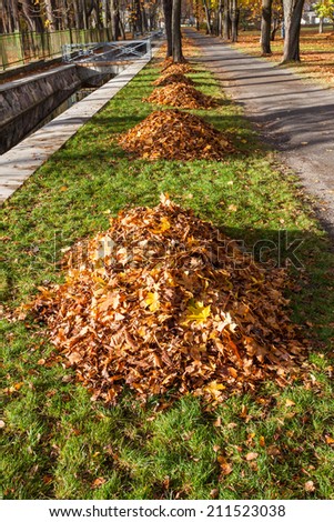 autumn park alley with yellow leaf pile
