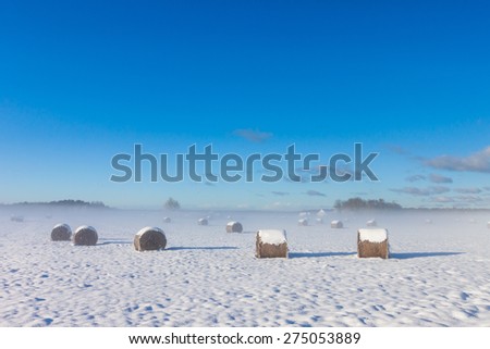 Farmland field under snow - rural nature winter landscape