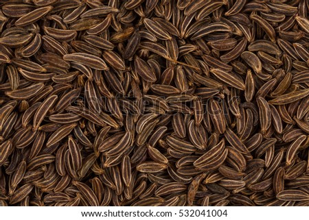 Pile of dry caraway seeds  as a background