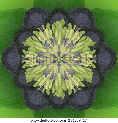 Beautiful raster background from different flowers and leaves, mandala style with big spectrum of colors, Blue Flower Mandala with Green background