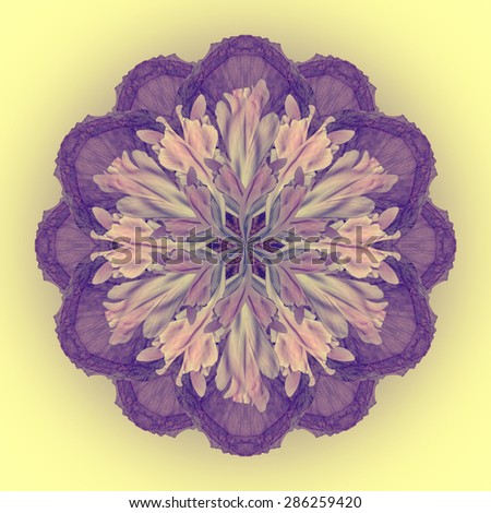 Beautiful raster background from different flowers and leaves, mandala style with big spectrum of colors, Blue Flower Mandala with Light yellow background