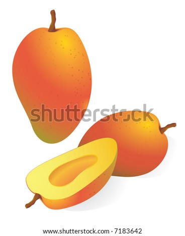 stock vector : Mango. Vector illustration