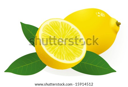 free lemon vector