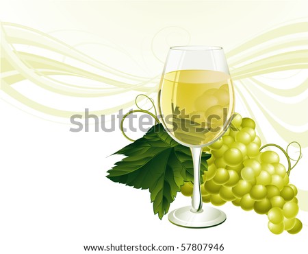 The glass of white wine and grape. Vector.