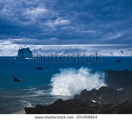 Stormy sky above the ocean and vulture birds above at evening time. Coast of volcanic island.