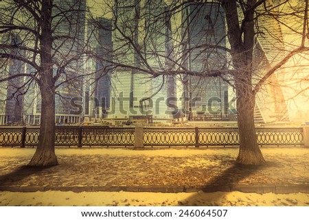 Trees of the old park on the embankment and on the business city center background at spring sunset time.
