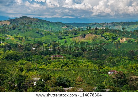 A view of the landscape in Colombia\'s coffee producing region.