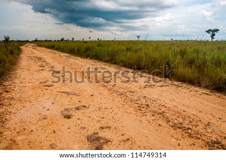 A dirt road built by FARC rebels in the Colombian plains
