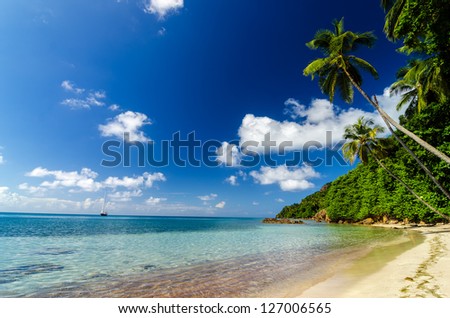 Beach and palm trees on Caribbean Sea and a yacht