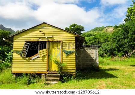 An old abandoned worn out house in a lush green clearing