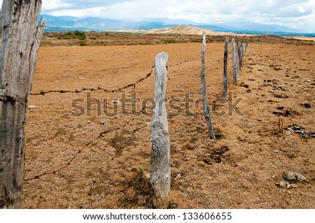 Old weathered fence posts in a dry arid region