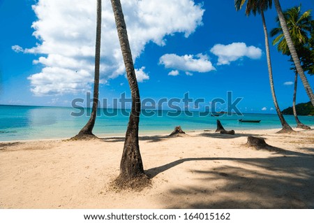 Beach, palm trees, and turquoise water in San Andres y Providencia, Colombia
