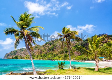 Three palm trees lined up next to the turquoise Caribbean Sea in La Miel, Panama