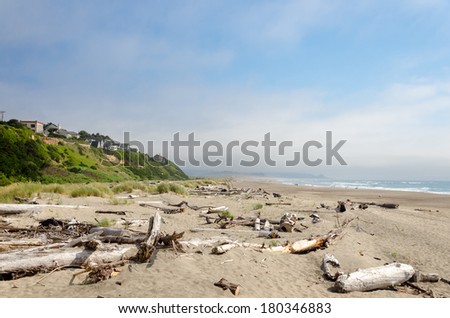 Driftwood covered beach at Lincoln City, Oregon