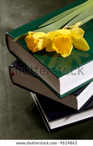 Books and yellow flowers