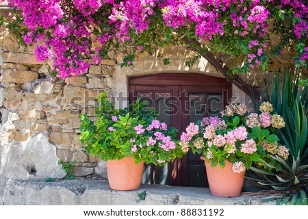 Italian house exterior decorated with hydrangea in flowerpots and Bougainvillea tree. The location is an small town in the middle of the Cilento and Vallo di Diano National Park (Campania, Italy).