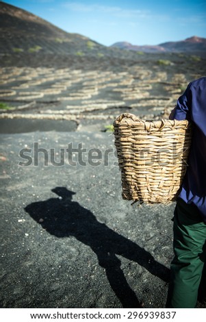 shadow on the floor of a farmer with a basket
