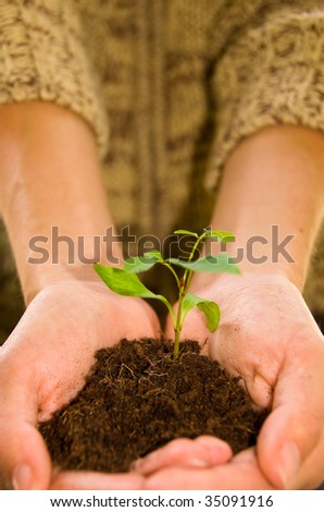 The environment is in our hands, we can either save or destroy.