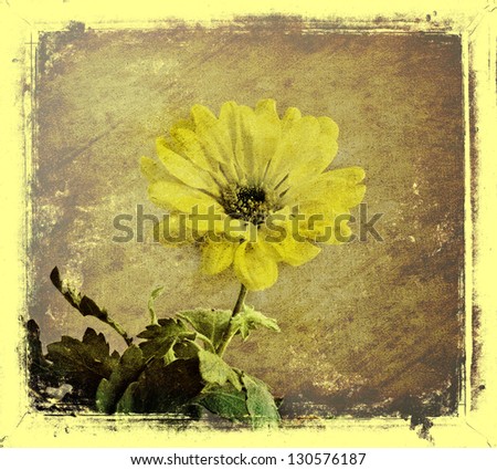 Wood background with spring flowers/Vintage card with flowers/ Old grunge vintage postcard with beautiful flowers.