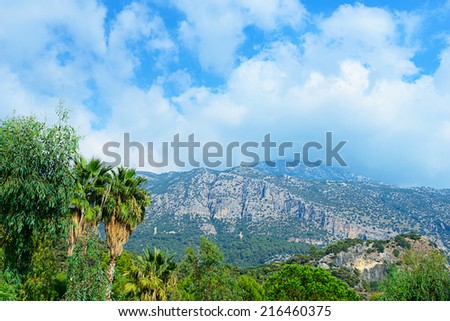 Conceptual image of exploration showing mountains, palm trees and blue skies with white clouds