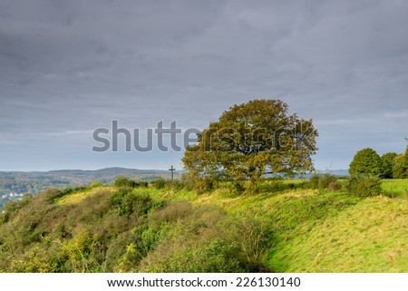 Image of a lone tree with a stormy sky from the summit of Erpeler Ley, one of the seven hills in the Sieben Berge range in Germany