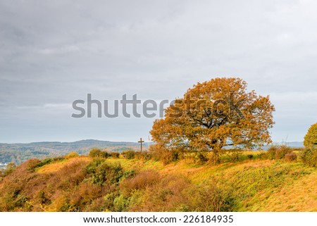 Image of a lone tree with a stormy sky from the summit of Erpeler Ley, one of the seven hills in the Sieben Berge range in Germany