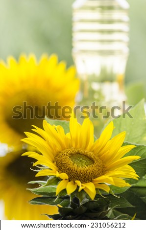 Sunflower and sunflower oil bottle against light green background