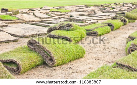 Grass-plot for new lawn