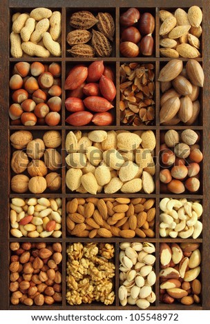 Varieties of nuts: peanuts, hazelnuts, chestnuts, walnuts, cashews, pistachio and pecans. Food and cuisine.