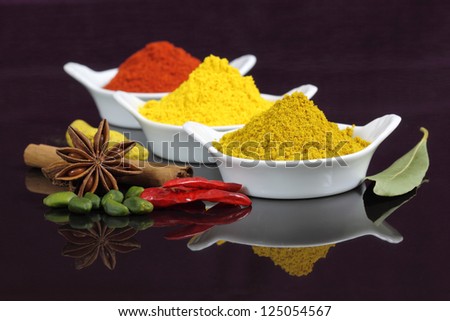 Spices and herbs in white ceramic bowls. Food and cuisine ingredients. Colorful natural additives.
