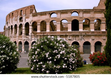 Famous attraction in Rome, Italy - Colosseum which is inscribed on UNESCO World Heritage list. Beautiful flowers on the foreground.