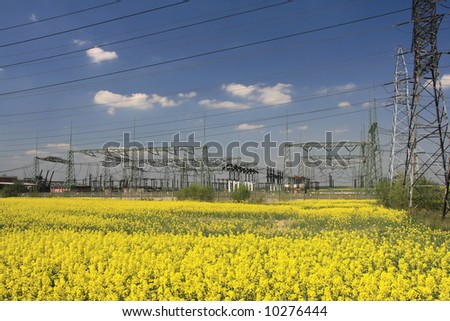 Rapeseed field and electric pylon - agriculture and industry