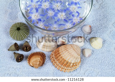 Spa detail - sea shells on a towel and flowers in water