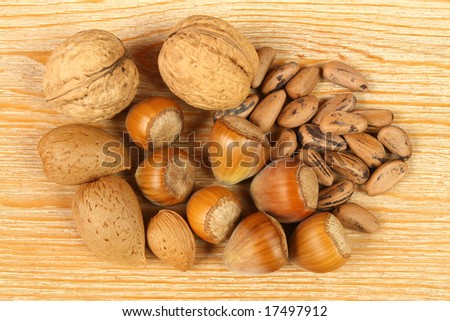 Walnuts, hazelnuts, pine nuts and almonds. Natural food.