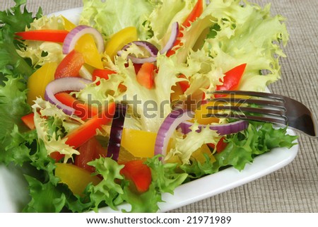 Colorful vegetable salad: onions, peppers, lettuce. Vegetarian cuisine.