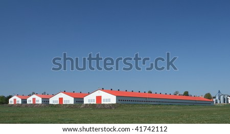 Modern farm poultry buildings. Agriculture in Poland.