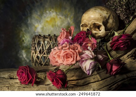 Still life with  Skull and Rose flower